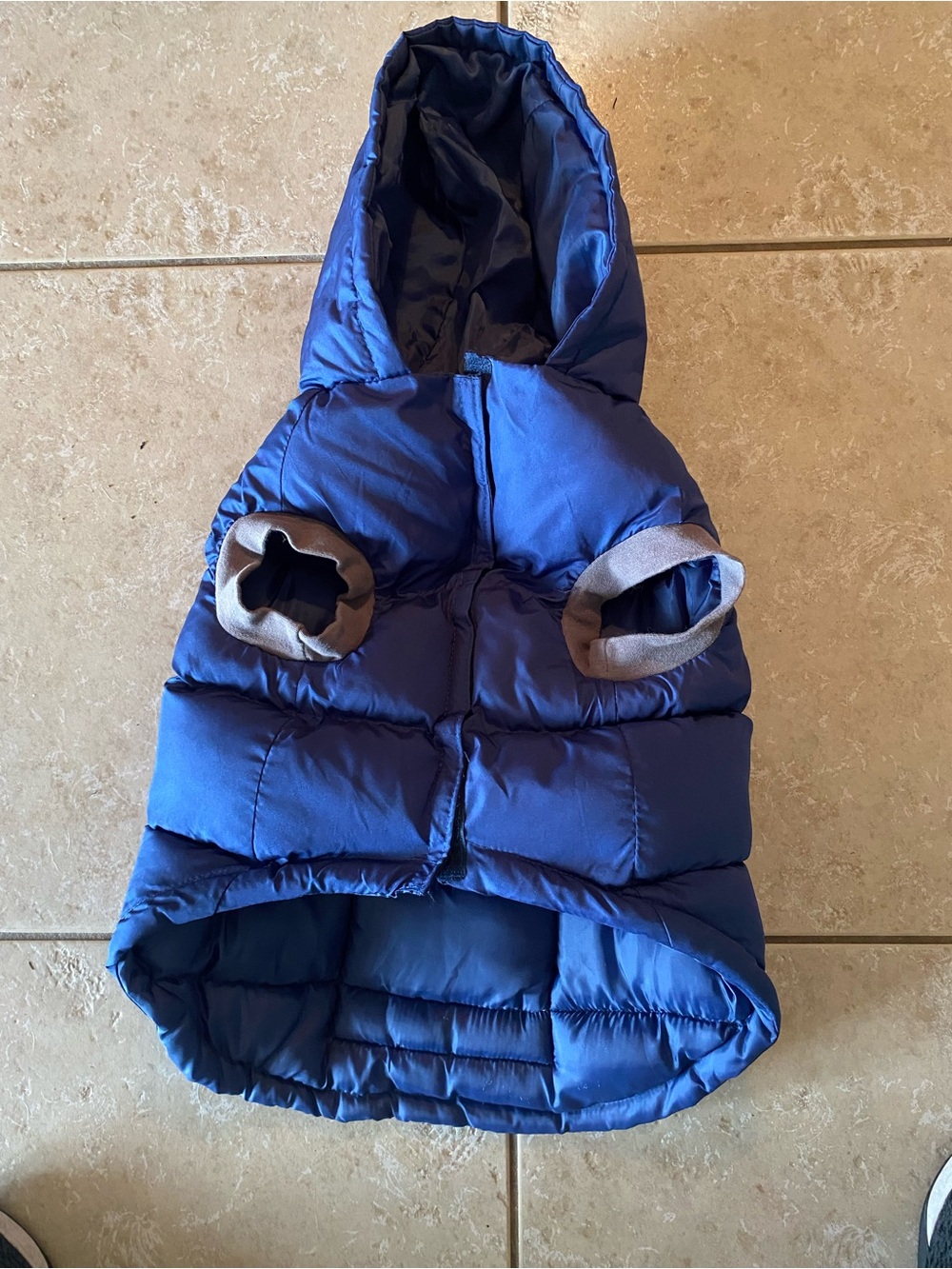 Puffer Dog Jacket with Hood - Blue